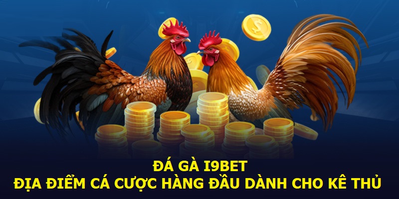 Đá gà I9bet - Địa điểm cá cược hàng đầu dành cho kê thủ